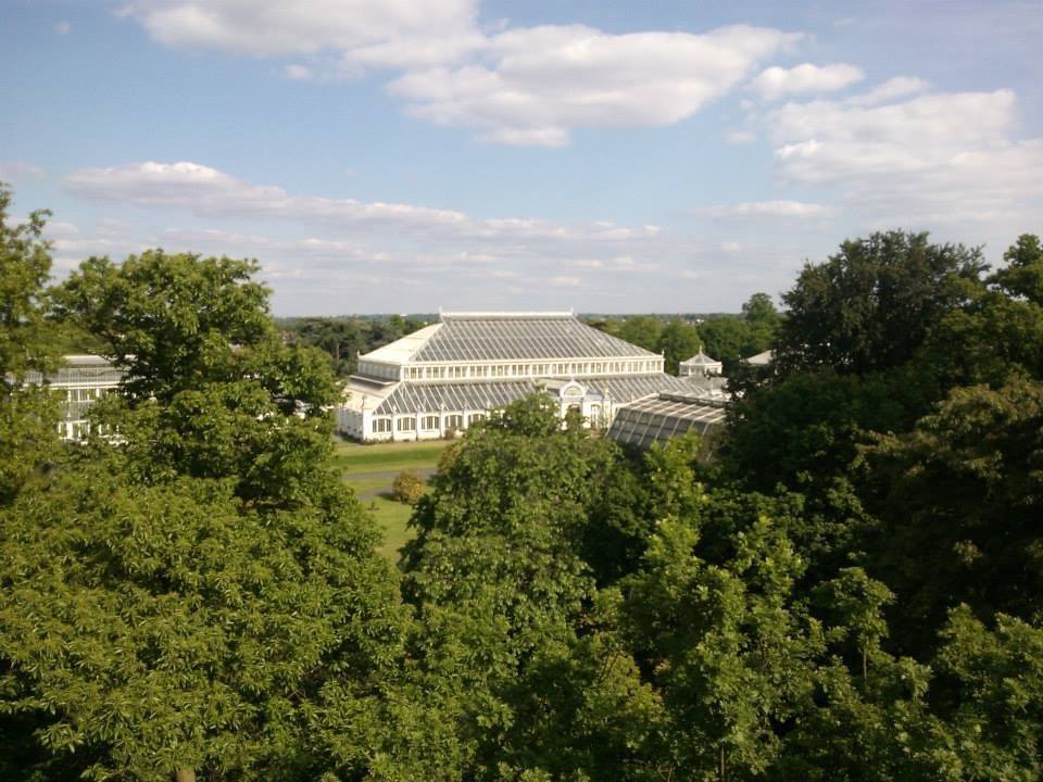 The main greenhouse in Kew Gardens